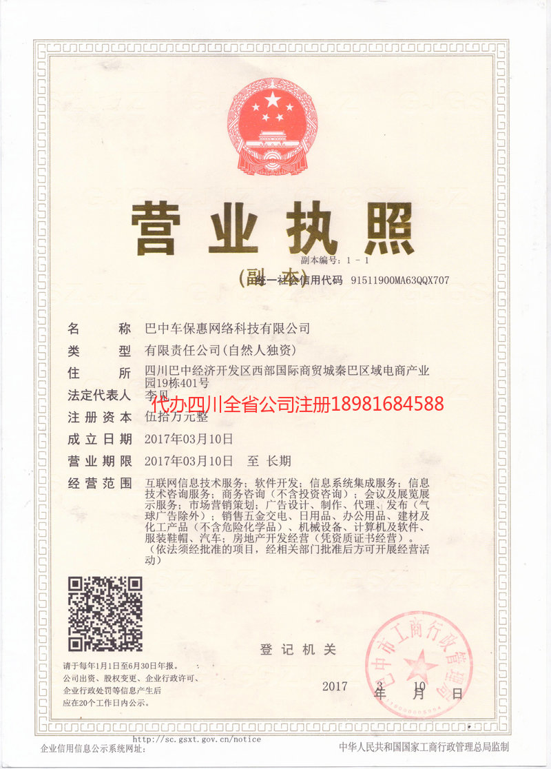 泰安泰安车保惠网络科技有限公司