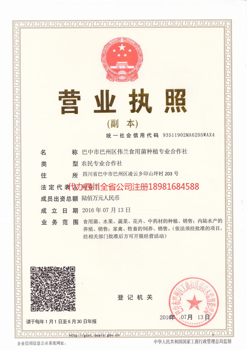 泰安泰安伟兰食用菌种植专业合作社